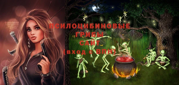 мдпв Абдулино
