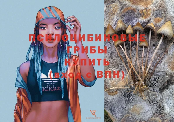 мдпв Абдулино